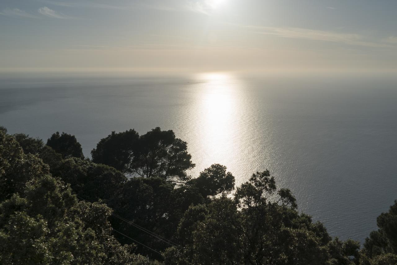 Bordoy Continental Valldemossa Экстерьер фото